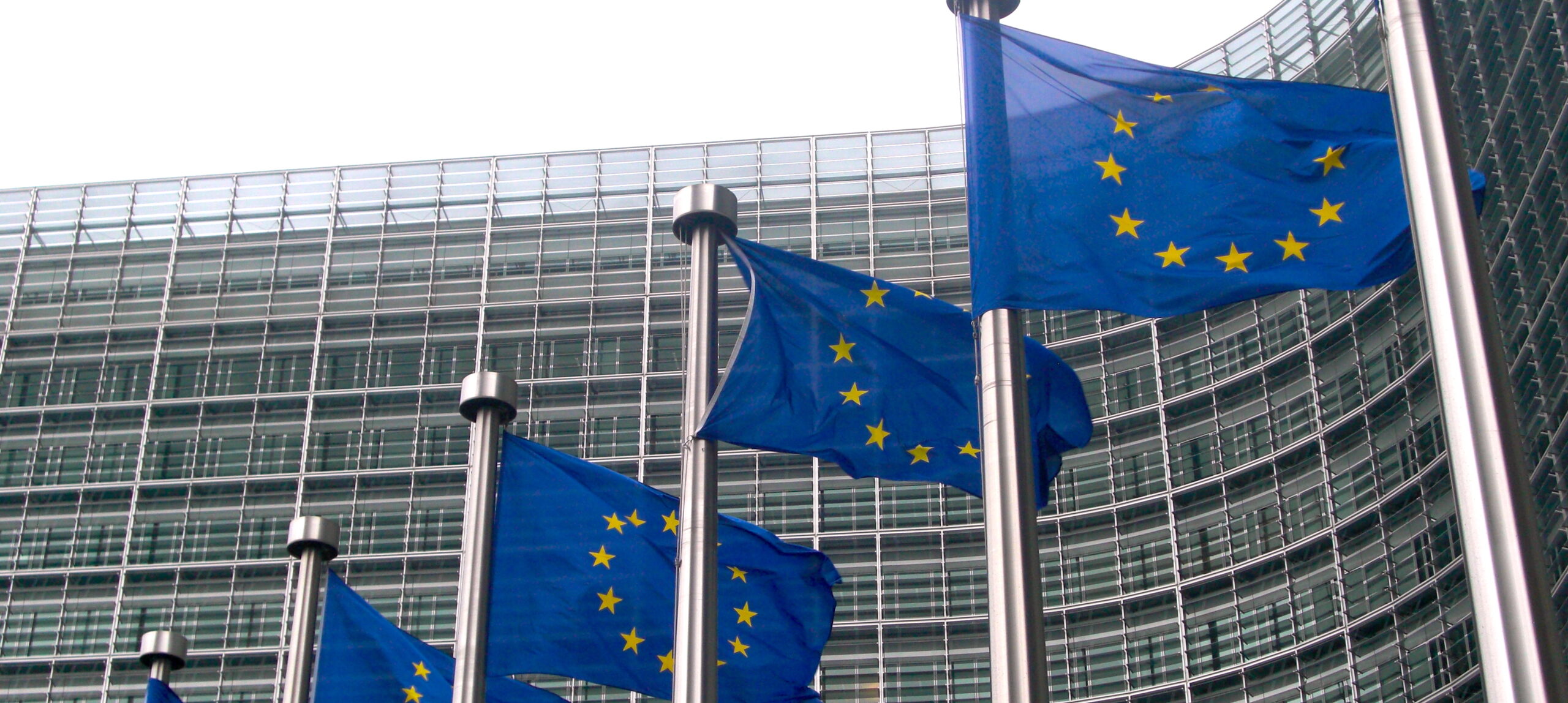 Vizepräsidentin der Europäischen Kommission Margrethe Vestager, der Hohe Vertreter Josep Borrell und EU-Kommissar Thierry Breton haben in dieser Woche die Europäische Verteidigungsindustrie strategie EDIS und das Europäische Programm für die Verteidigungsindustrie vorgestellt.