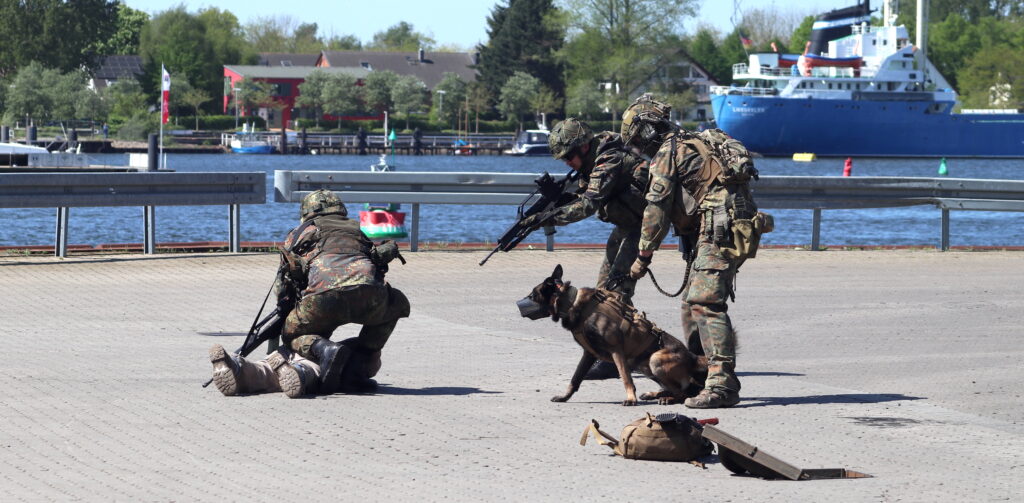 Schutz bedeutet, Angreifer von sicherheitswürdigen Objekten fernzuhalten – in diesem Fall wurde der bewaffnete Mann mit einem Diensthund gestoppt.