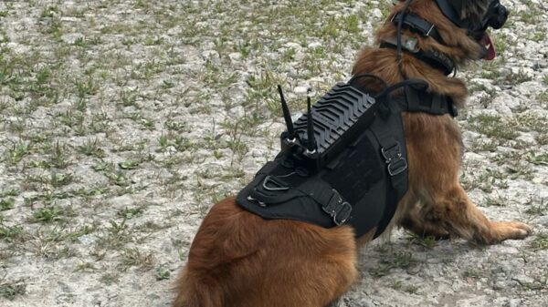 K9 System mit Helm, Schutzbrille und Kommunikationsanbindung. IEA MIL-OPTICS übernimmt nun den Exklusivvertrieb für Deutschland.