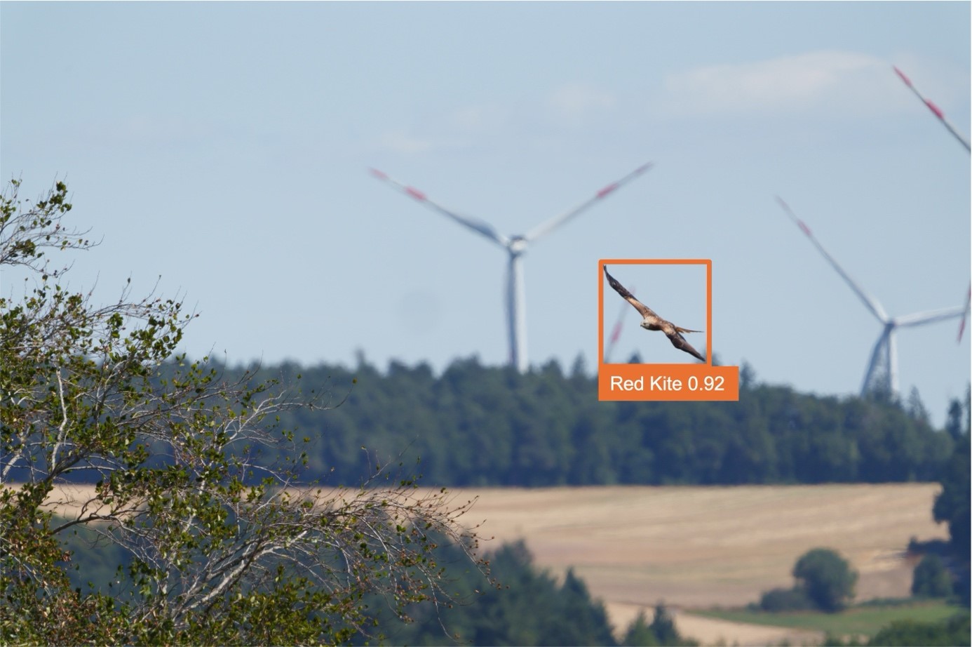 Mit Flugabwehr-Technologie den Rotmilan schützen.