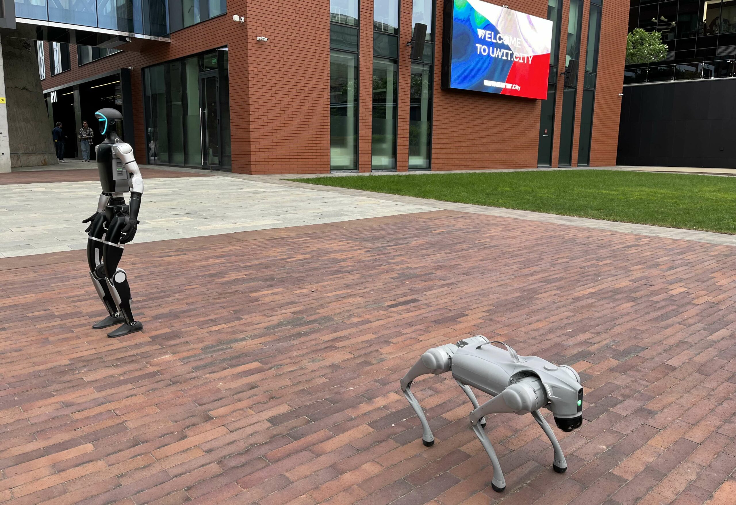 Die Ukraine hat in Kiew mit UNIT.City einen Komplex zur Förderung von Erfindungsgeist und technologischem Fortschritt aufgebaut. Hier zwei Roboter des chinesischen Unternehmens Unitree, mit denen die Möglichkeiten zur Unterstützung und Interaktion zwischen Mensch und Maschine erforscht werden.