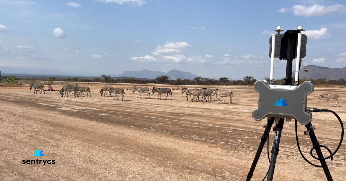 Weltweit nimmt der Bedarf an Lösungen zur Drohnenabwehr zu. Das israelische Unternehmen Sentrycs konnte sich nun in einem Wettbewerb in Afrika durchsetzen.