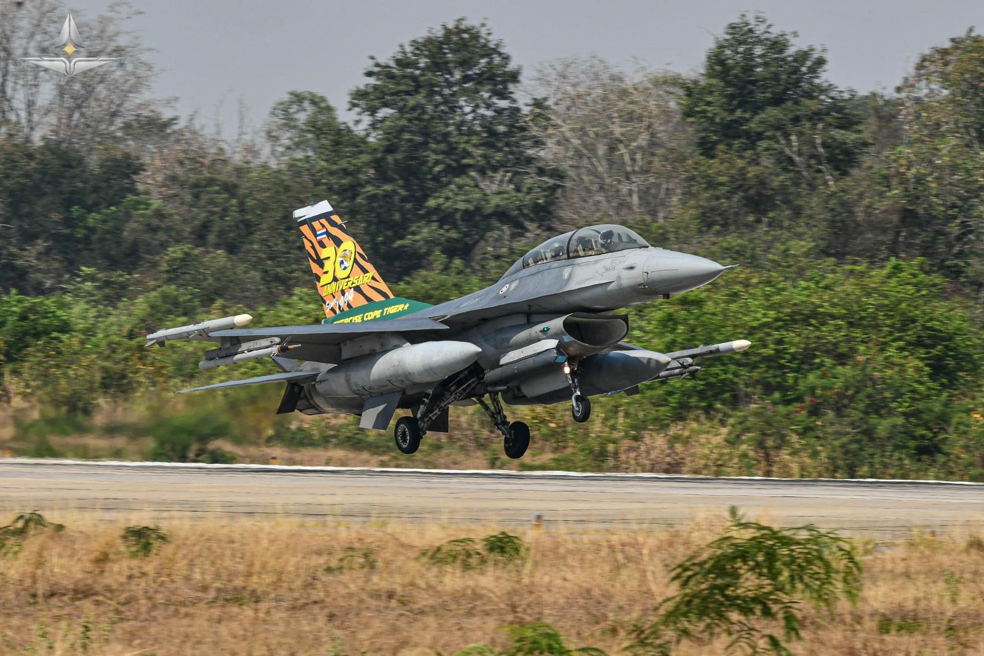Eine F-16 MLU des 403. Geschwaders der RTAF, deren Vertikalstabilisator zur Feier des 30-jährigen Jubiläums der multilateralen Übung Cope Tiger 2024 besonders lackiert wurde.